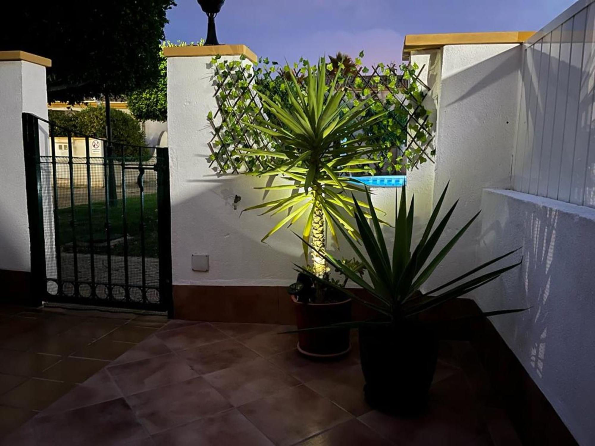 Apartamento "Margarita" Cabo Roig Dış mekan fotoğraf