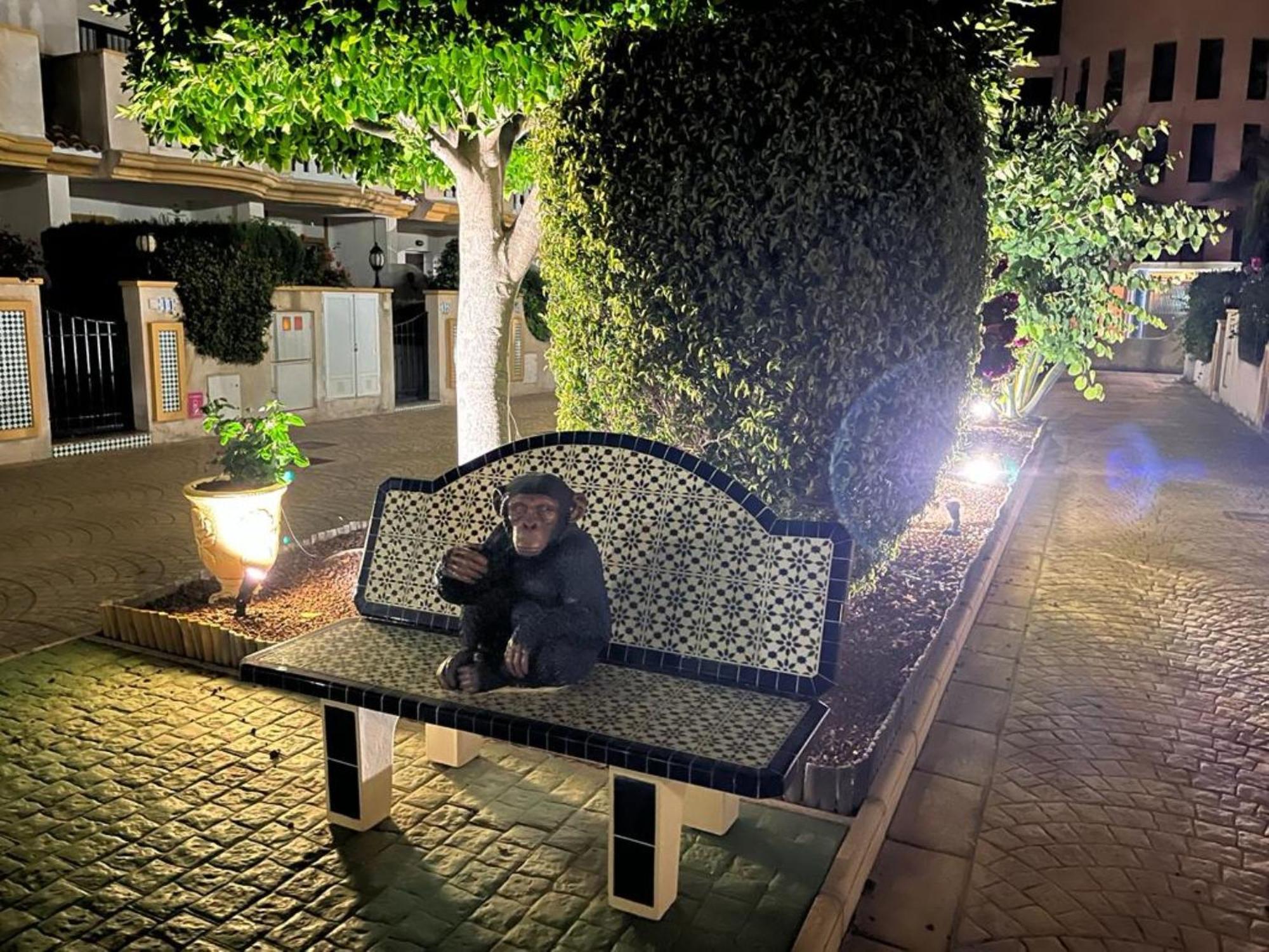 Apartamento "Margarita" Cabo Roig Dış mekan fotoğraf