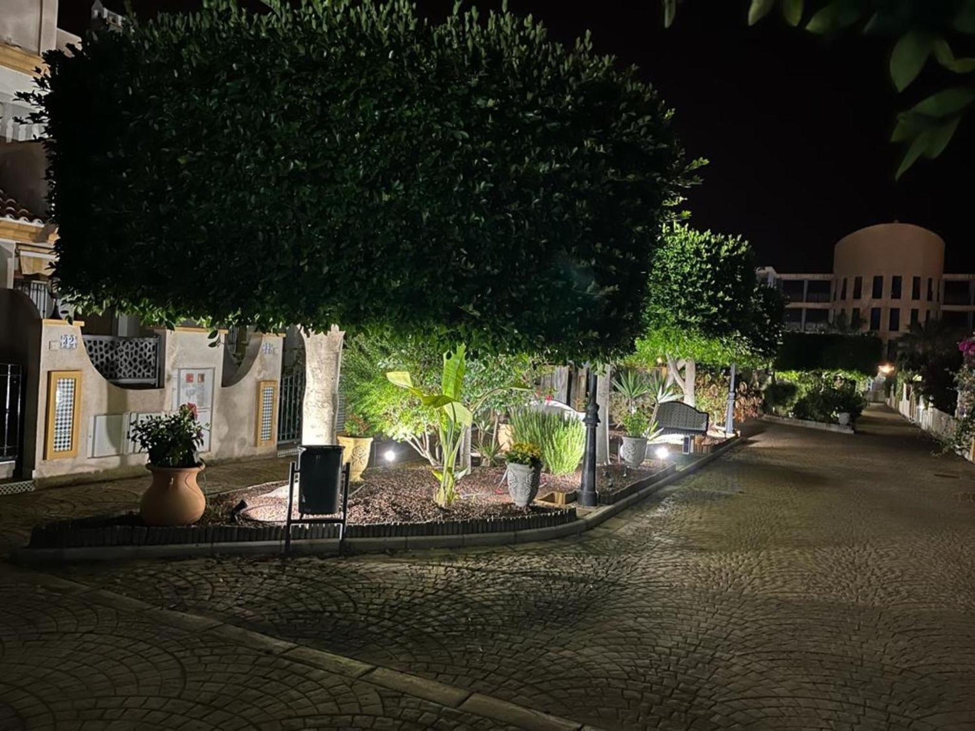 Apartamento "Margarita" Cabo Roig Dış mekan fotoğraf