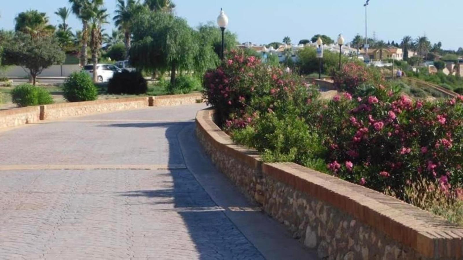 Apartamento "Margarita" Cabo Roig Dış mekan fotoğraf