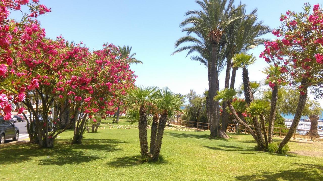 Apartamento "Margarita" Cabo Roig Dış mekan fotoğraf