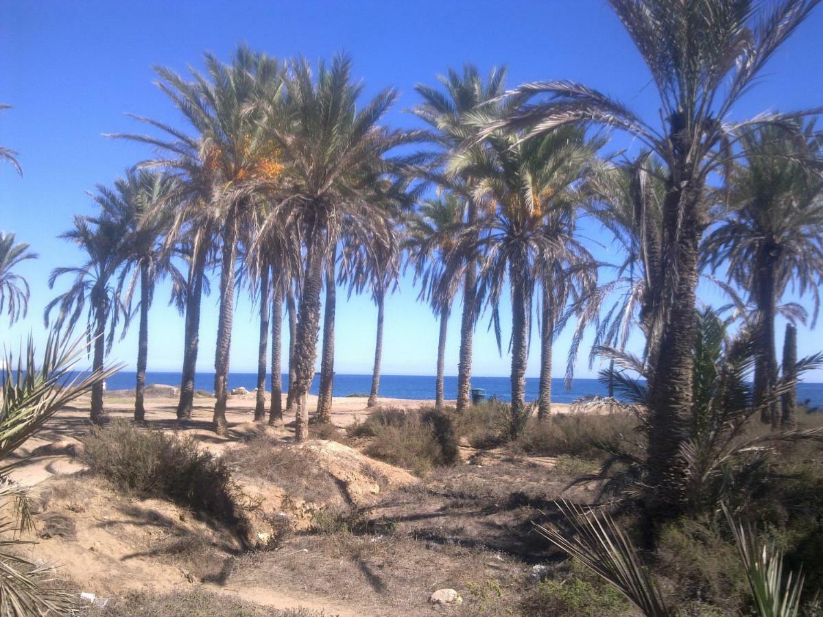 Apartamento "Margarita" Cabo Roig Dış mekan fotoğraf